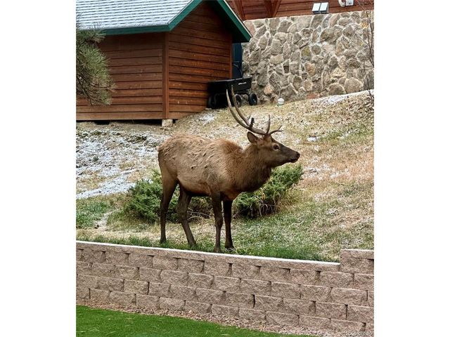 30188 Carriage Loop Dr, Evergreen, CO 80439