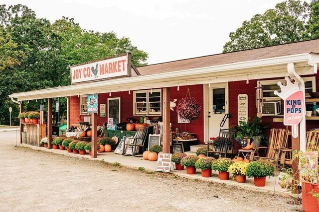 518 Winding Rose Drive, Hoschton, GA 30548