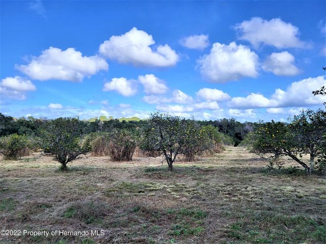 0 North Avenue, Brooksville, FL 34601
