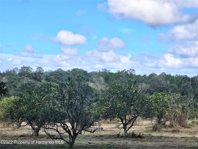 0 North Avenue, Brooksville, FL 34601