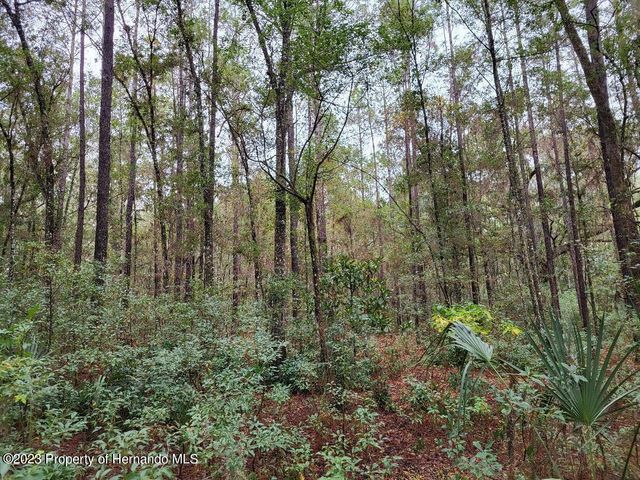 0 North Avenue, Brooksville, FL 34601