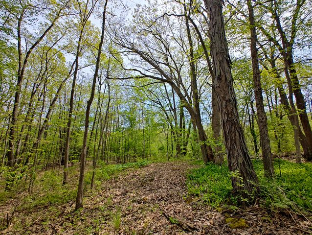 VL Tipsico Lake Rd Parcel A, Fenton, MI 48430