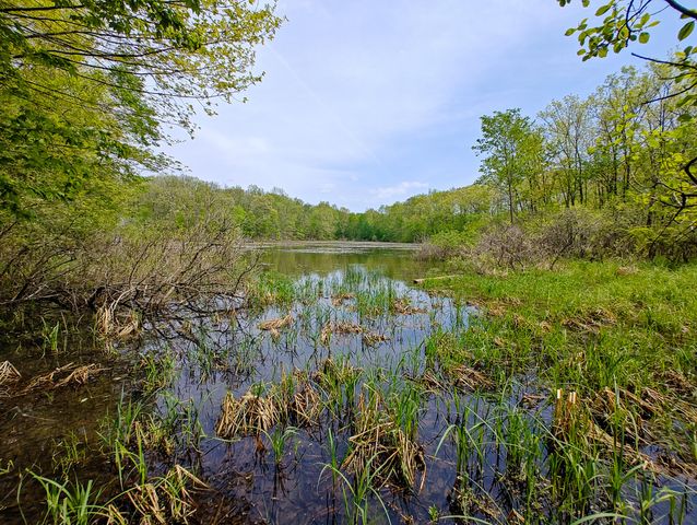 VL Tipsico Lake Rd Parcel A, Fenton, MI 48430