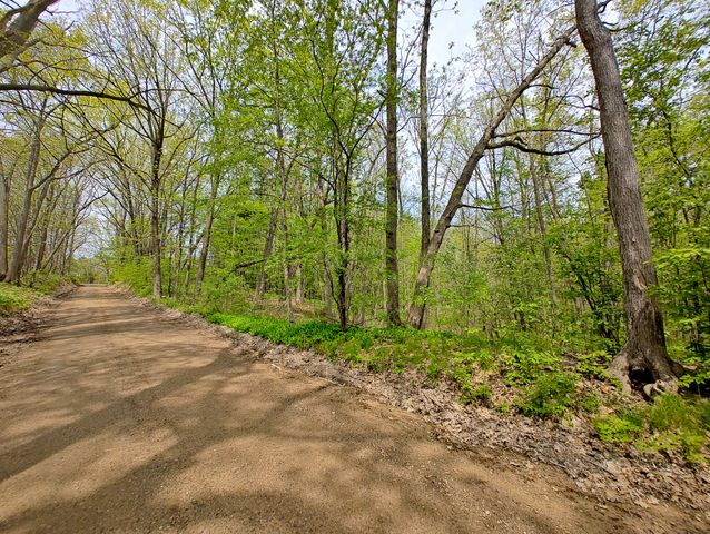 VL Tipsico Lake Rd Parcel A, Fenton, MI 48430