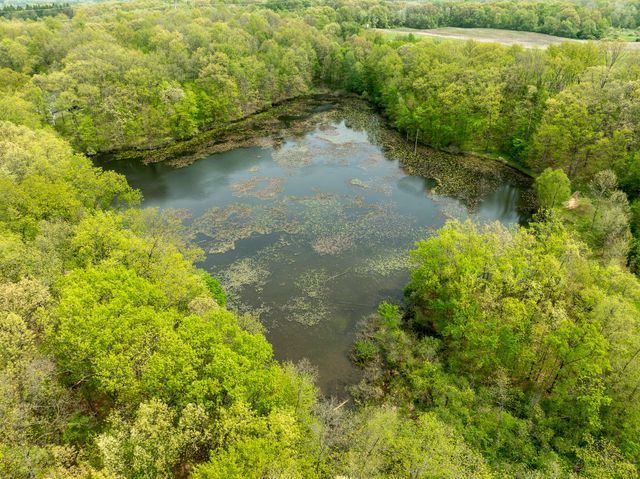 VL Tipsico Lake Rd Parcel A, Fenton, MI 48430