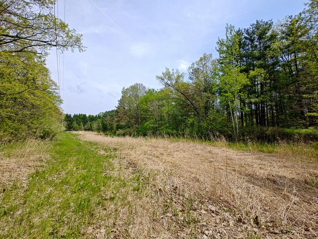VL Tipsico Lake Rd Parcel A, Fenton, MI 48430