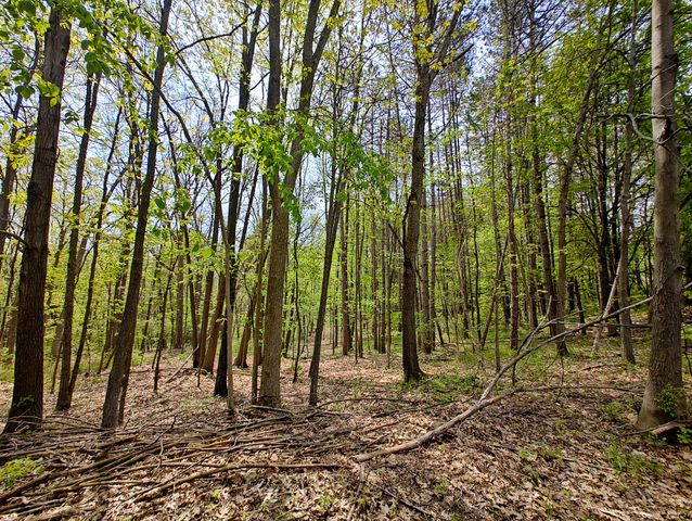VL Tipsico Lake Rd Parcel A, Fenton, MI 48430
