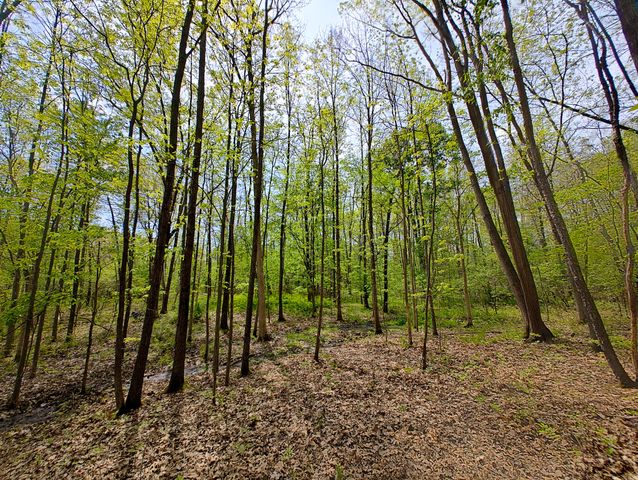 VL Tipsico Lake Rd Parcel A, Fenton, MI 48430