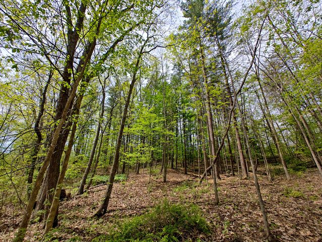 VL Tipsico Lake Rd Parcel A, Fenton, MI 48430