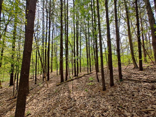 VL Tipsico Lake Rd Parcel A, Fenton, MI 48430