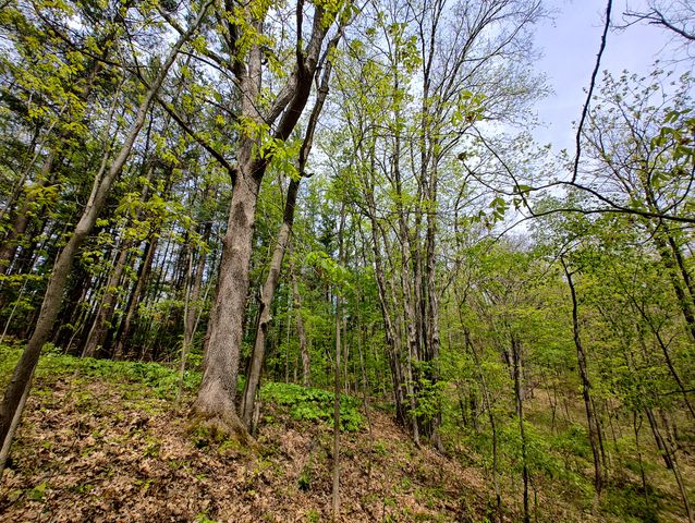 VL Tipsico Lake Rd Parcel A, Fenton, MI 48430