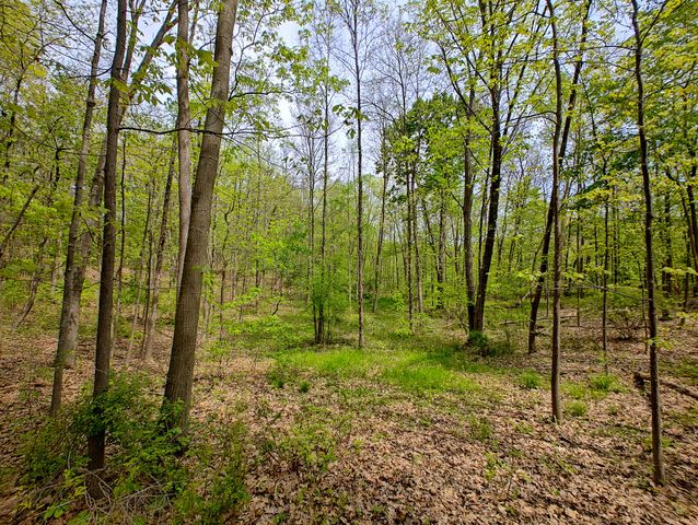 VL Tipsico Lake Rd Parcel A, Fenton, MI 48430