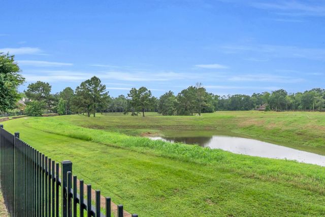 16619 Dover Mills Drive, Spring, TX 77379