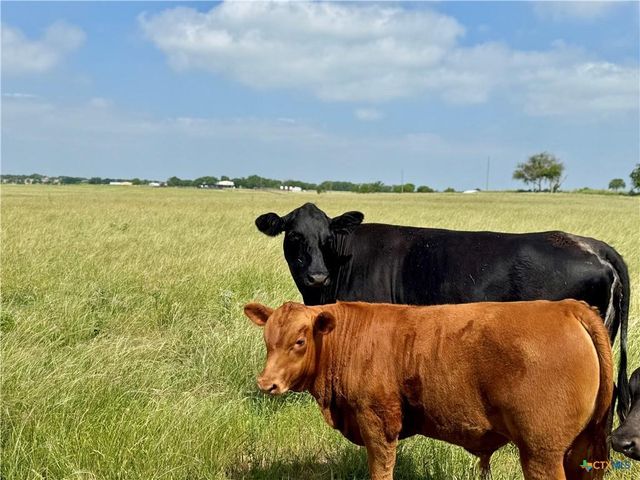 17 Acres Smith Dairy RD, Belton, TX 76513