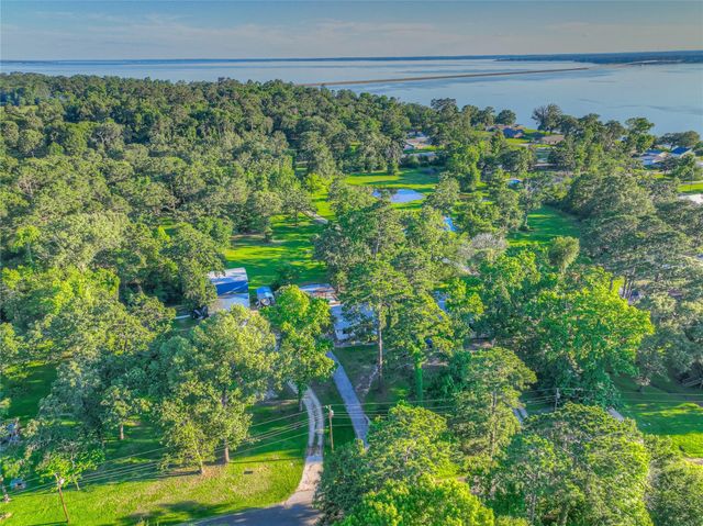 323 Lakeview Drive, Onalaska, TX 77360