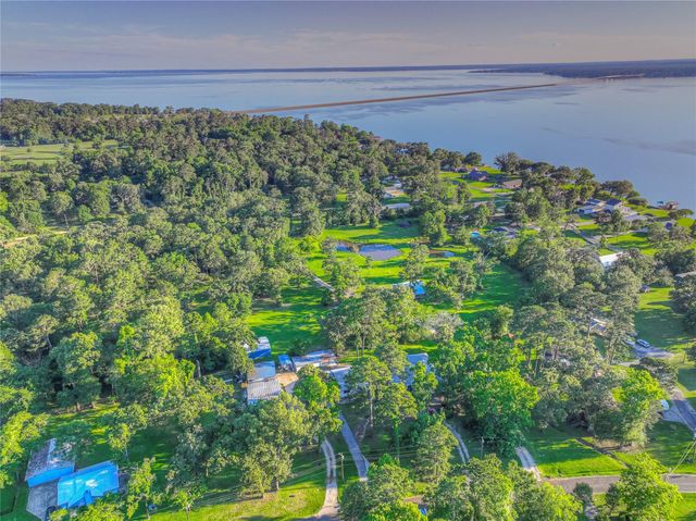 323 Lakeview Drive, Onalaska, TX 77360