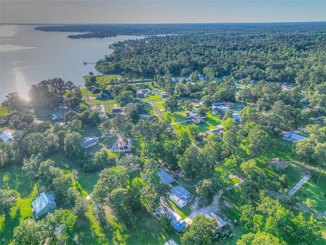 323 Lakeview Drive, Onalaska, TX 77360