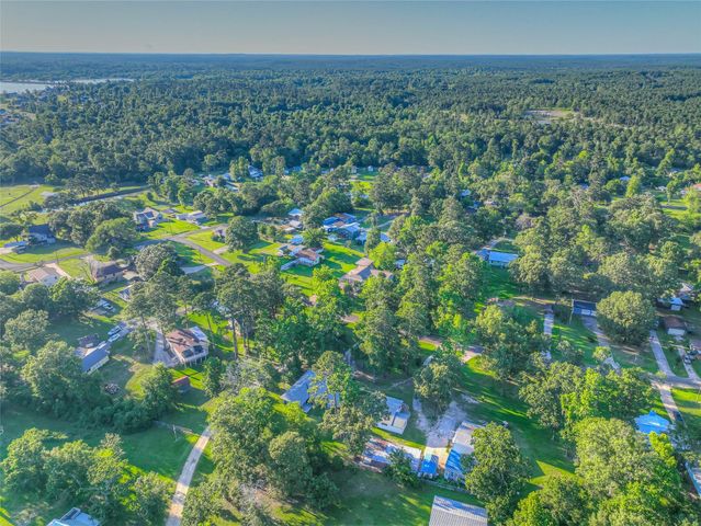 323 Lakeview Drive, Onalaska, TX 77360