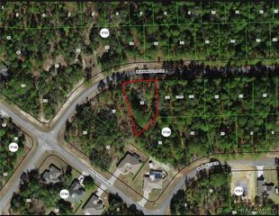968 W Bannister Drive, Citrus Springs, FL 34434