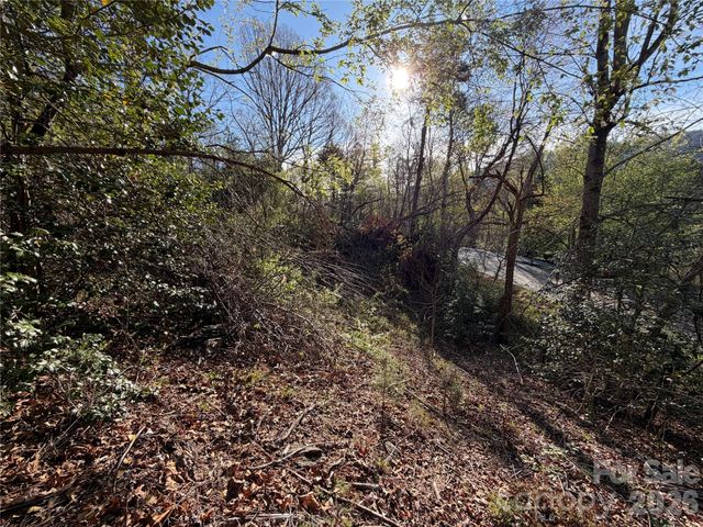 219 Bee Ridge Road, Asheville, NC 28803