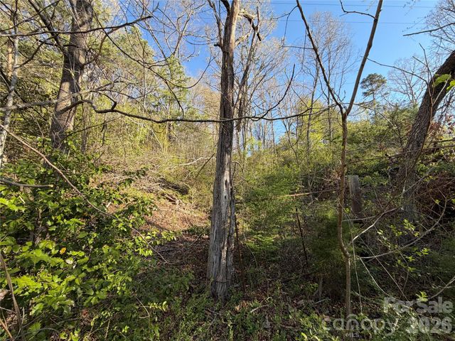 219 Bee Ridge Road, Asheville, NC 28803