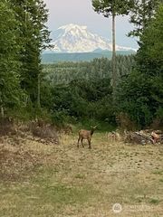 17012 226th Street Ct E, Orting, WA 98360