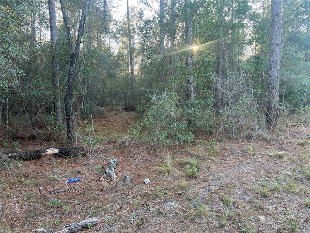 Lot 4+ BLAIR AVENUE, Brooksville, FL 34604