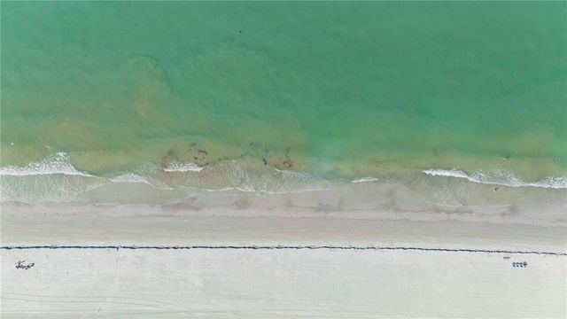 2900 GULF BOULEVARD 202, Belleair Beach, FL 33786