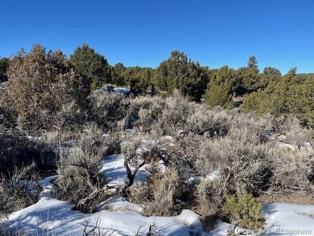 Lot 7860 Platten Road, Fort Garland, CO 81133