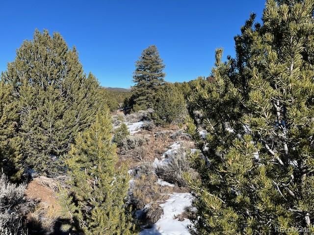 Lot 7860 Platten Road, Fort Garland, CO 81133