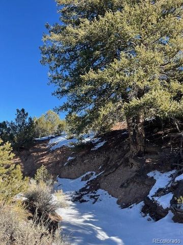 Lot 7860 Platten Road, Fort Garland, CO 81133