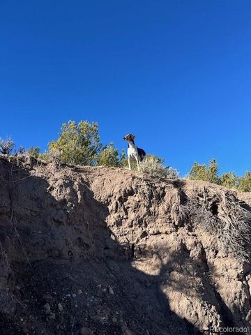 Lot 7860 Platten Road, Fort Garland, CO 81133