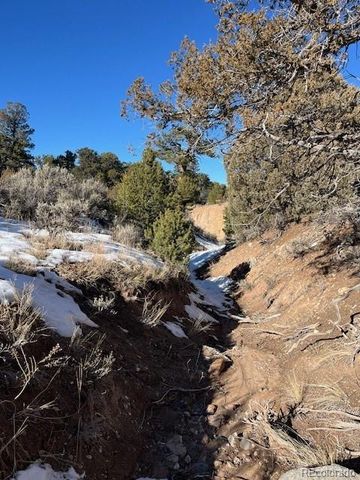 Lot 7860 Platten Road, Fort Garland, CO 81133