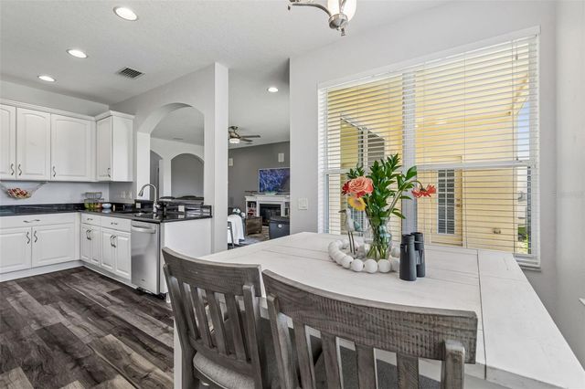 11509 DUTCH IRIS DRIVE, Riverview, FL 33578