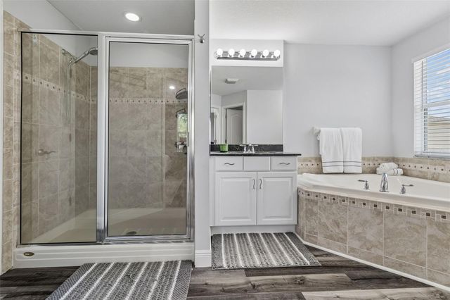 11509 DUTCH IRIS DRIVE, Riverview, FL 33578