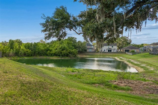 11509 DUTCH IRIS DRIVE, Riverview, FL 33578