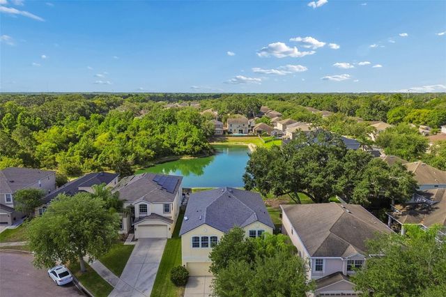 11509 DUTCH IRIS DRIVE, Riverview, FL 33578