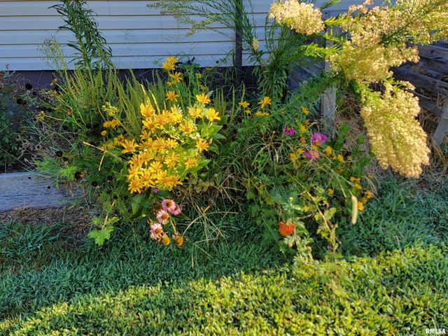 2517 Cherrybark Lane, Flora, IL 62839