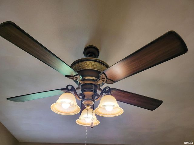 2517 Cherrybark Lane, Flora, IL 62839