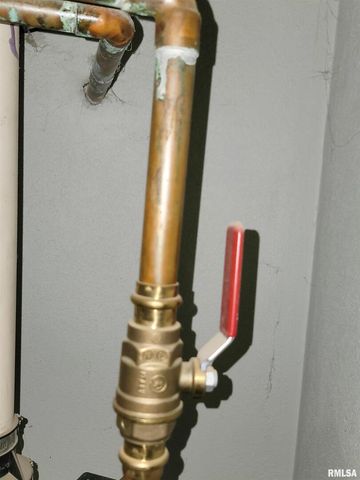 2517 Cherrybark Lane, Flora, IL 62839