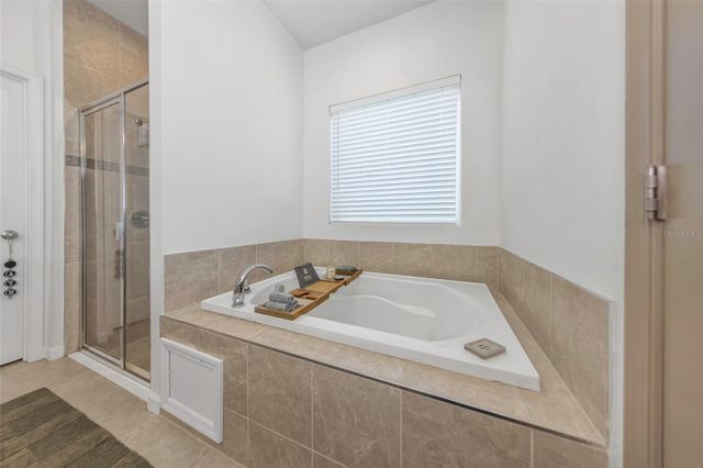 2427 PORTICO STREET, Odessa, FL 33556