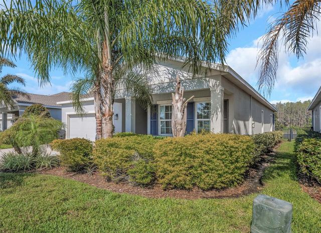 2427 PORTICO STREET, Odessa, FL 33556