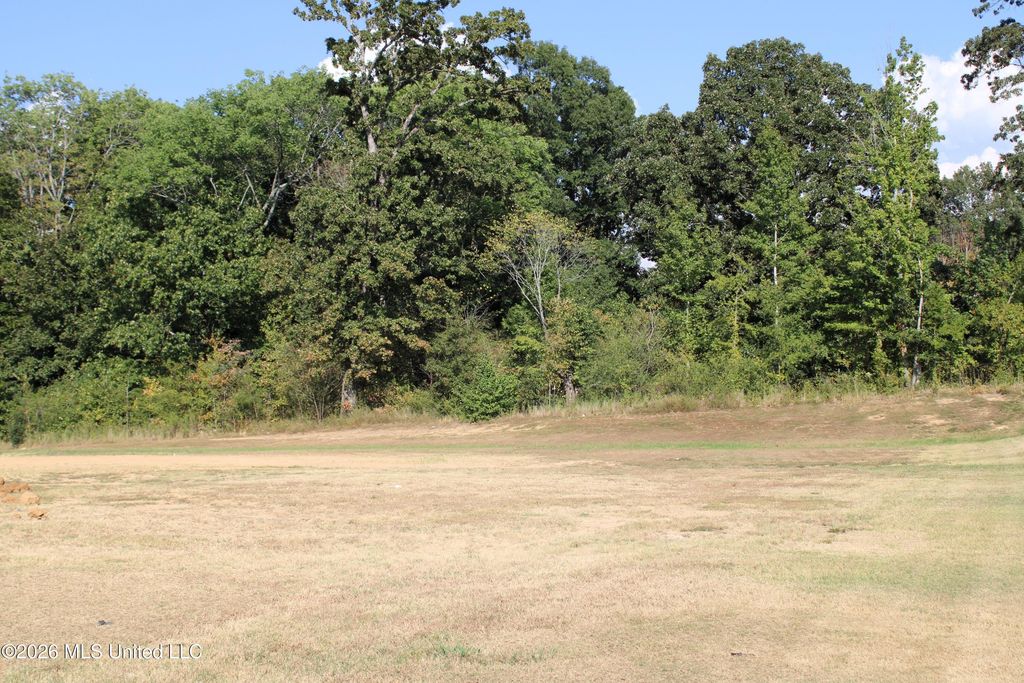 750 Red Cedar Loop, Hernando, MS 38632 — photo 4
