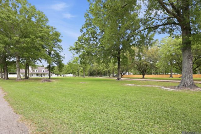 29725 Henderson Ln, Walker, LA 70785