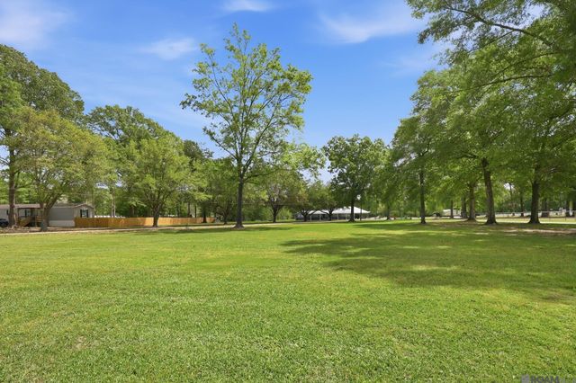 29725 Henderson Ln, Walker, LA 70785