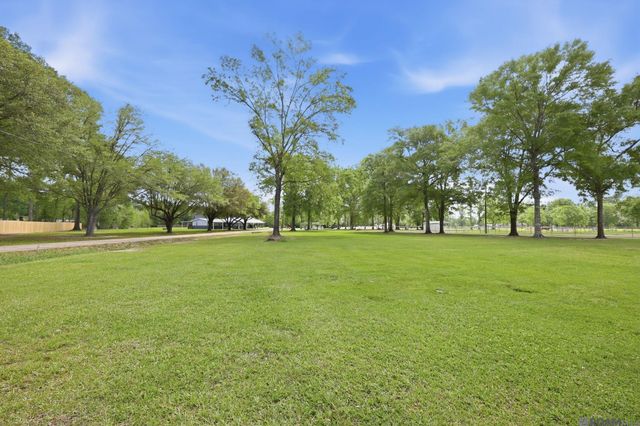 29725 Henderson Ln, Walker, LA 70785