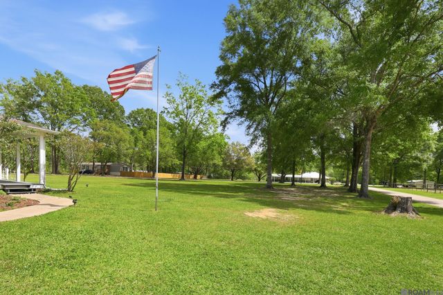 29725 Henderson Ln, Walker, LA 70785
