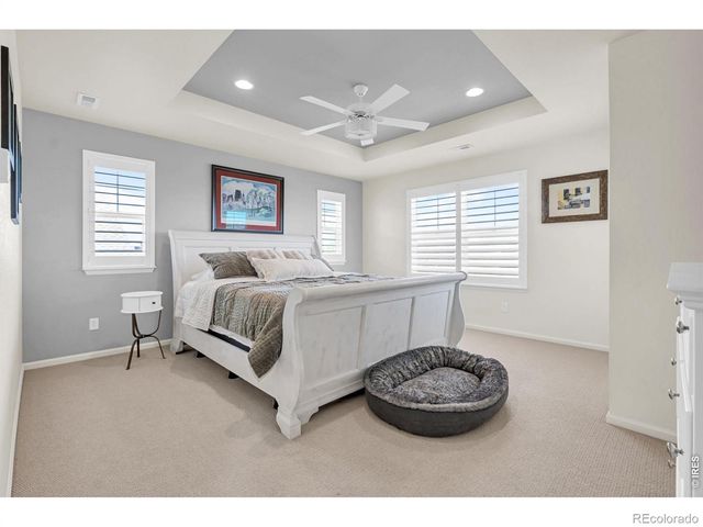 1971 Shadow Lake Court, Windsor, CO 80550