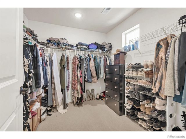 1971 Shadow Lake Court, Windsor, CO 80550