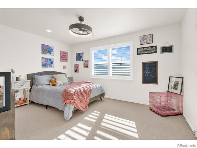 1971 Shadow Lake Court, Windsor, CO 80550